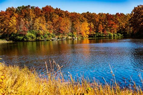 wv 5 day fishing license|West Virginia Fishing License.